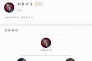 护卫飞机出装铭文攻略视频（提升护卫飞机实力，掌握装备铭文的技巧）