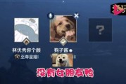 《以师傅游戏流程攻略——玩转游戏，成为高手！》（从零到一，以师傅游戏流程攻略助你快速提升技巧！）
