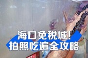 远航梦幻岛攻略（玩转梦幻岛，一起揭秘隐藏的乐趣！）