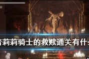 《以终结降落游戏攻略》（一场关于生存与智慧的较量）