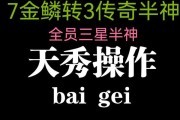 金鳞龙阵容出装攻略视频（掌握关键技巧，让你在游戏中战无不胜）