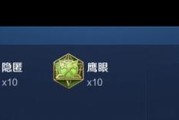 以肉装赵云出装铭文搭配攻略（赵云肉装铭文搭配攻略，打造不死战神）