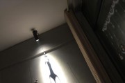 《解密食神府密室技能攻略，成为真正的食神！》（探索秘密技巧，迎接挑战，达到最高水平的关键要素！）