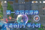 原神天琼谷攻略（揭开天琼谷蕴藏的宝藏与挑战，畅游飘渺之境）