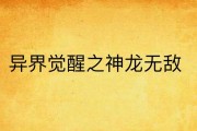 《神龙觉醒技能搭配攻略》（探索最强战斗组合，独步武林！）