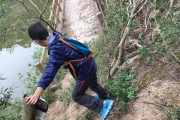 荒野逃生大全攻略（探索荒野、击败敌人、存活至最后！）