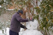 雪球滚出装攻略——成为雪人界的最强玩家（全面分析雪人滚雪球的战术技巧与出装搭配，助你轻松取得胜利）