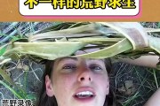 荒野求生攻略（揭秘荒野求生中的关键攻略与技巧，让你在游戏中稳居领先地位）
