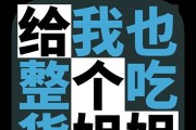 《给我也整一个吃货姐姐》第14关通关攻略（掌握技巧，轻松过关）