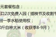 揭秘农夫隐藏技能攻略大全（成为农业专家，掌握农夫隐藏技能的关键）