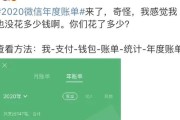 《微信》游戏2020年度账单查看方法（如何查看自己的微信游戏消费记录？）