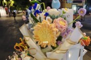 繁花如梦（花间一壶酒，千载难逢的商机等你来把握！）