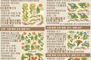 灵感源泉（游戏玩家艺术家的创作探索之路）