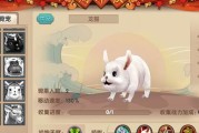 天书奇谈骑宠技能攻略（探索骑宠技能的奇妙世界，助您成为驭兽大师！）