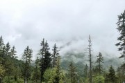 原神黄龙景区攻略住宿（深入黄龙，畅享仙境之旅）